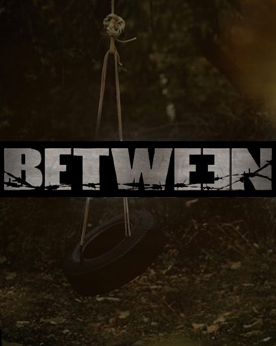 Mysterious forest with tire swing